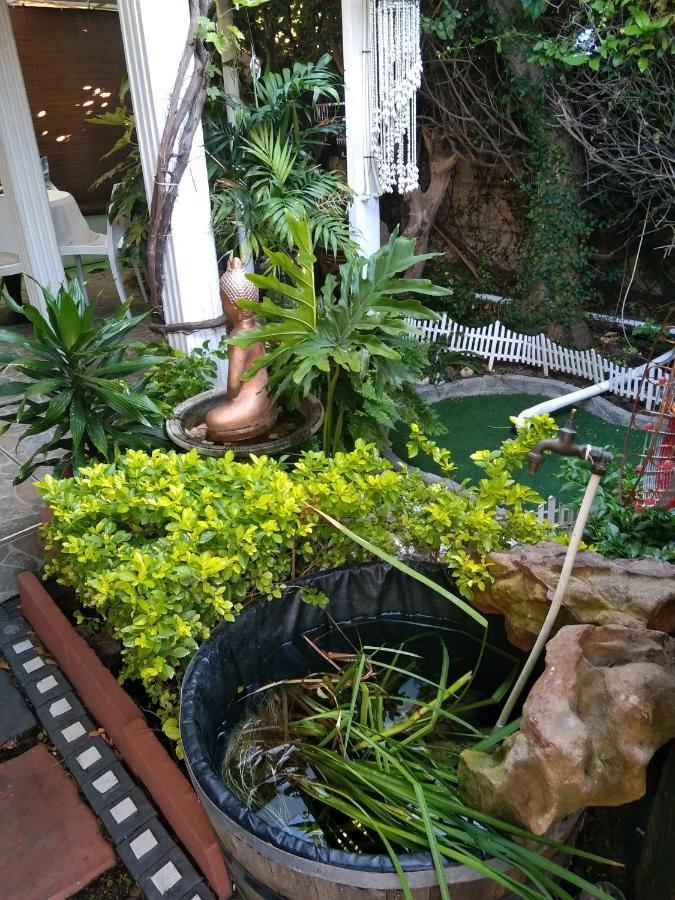 Mitchell'S Guesthouse Parow Kültér fotó